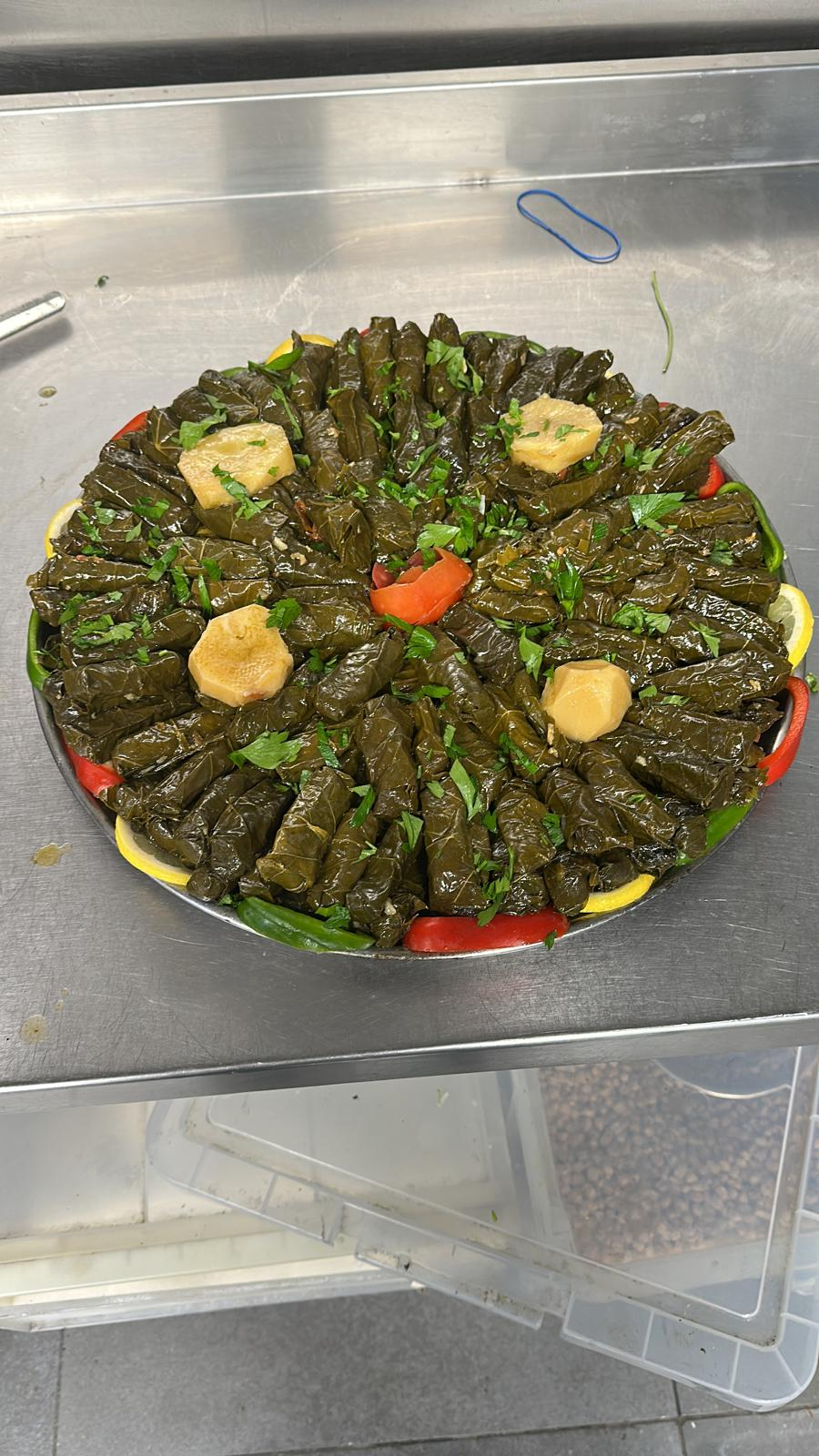 Warak enab platter garnished with parsley and lemon